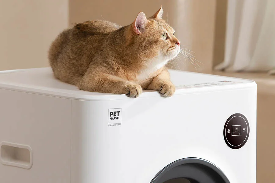 electronic cat litter